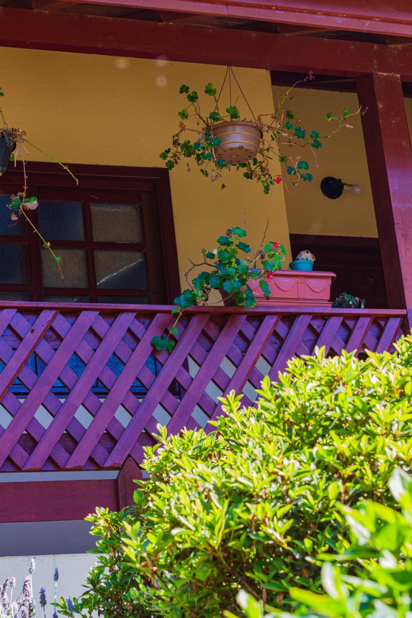 Hospedagem Dona Tania Canela Exterior photo