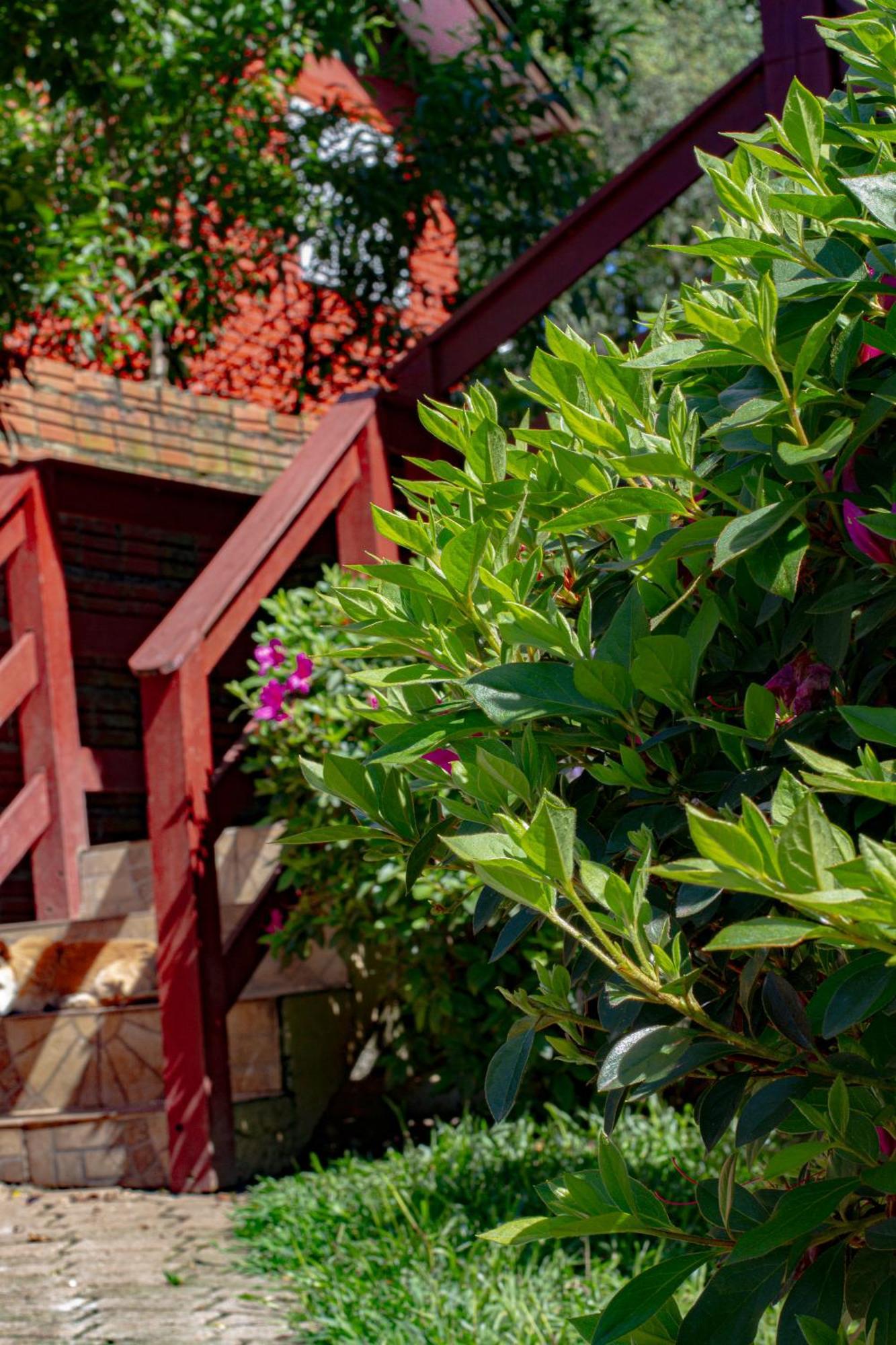 Hospedagem Dona Tania Canela Exterior photo